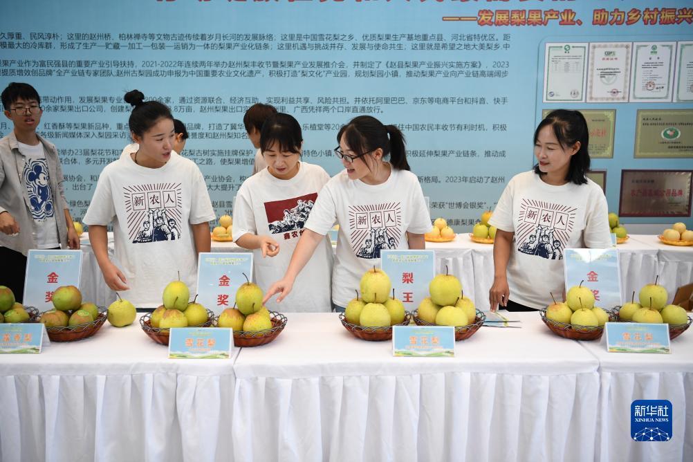 打牌网下载链接